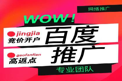 竞价广告的投放策略：XX企业成功案例解析